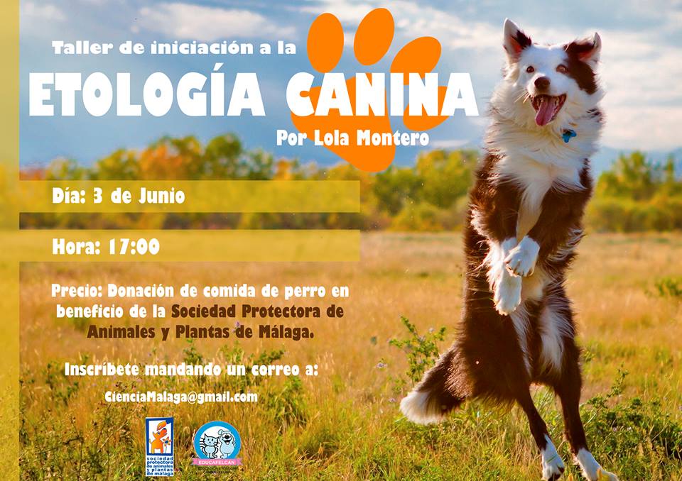 etologia canina