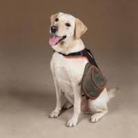 mochila labrador 2