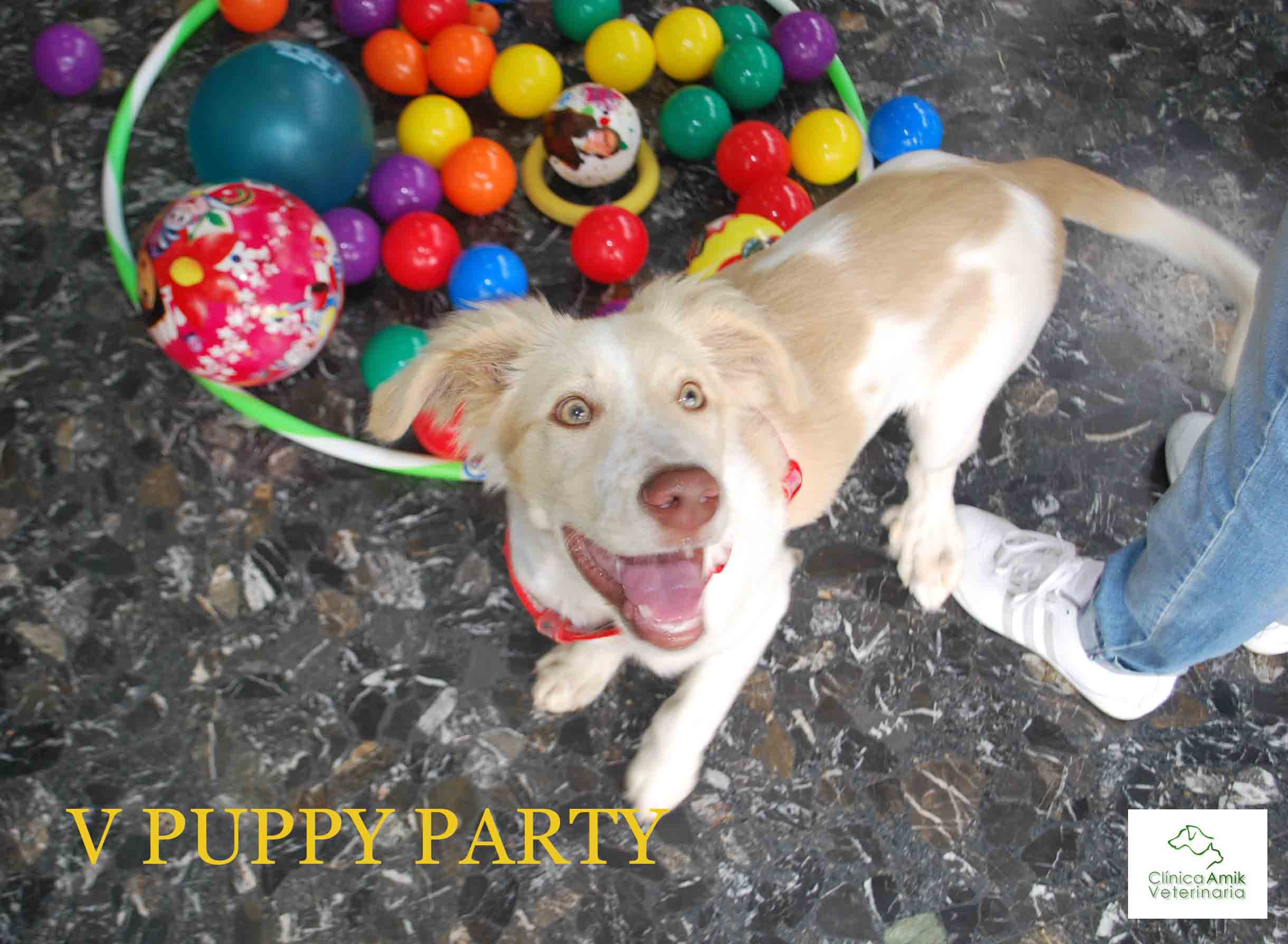 V_puppy_party