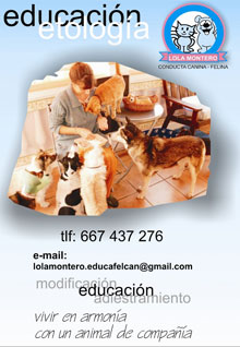 Cartel presentación Lola Montero - Clínica Veterinaria Amik Málaga