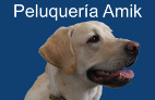 peluqueria-canina-amik